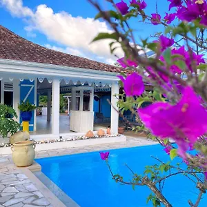 Villa La Roserie, Ducos